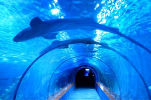 UNDERGROUND WATER MUSEUM-min