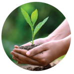PLA SAVE THE NATURE-01-min